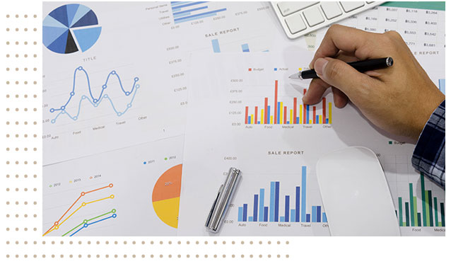 Investment Assessment